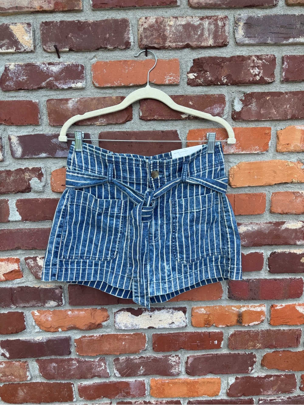 NWT American Eagle Shorts
